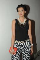 Hamsa Nandhini at Attarintiki Daaredi Audio
